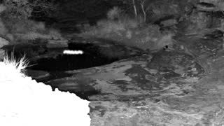 Still 1 from this detection