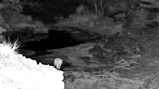 Still 1 from this detection