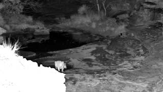 Still 2 from this detection