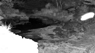 Still 3 from this detection