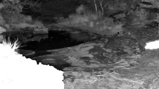 Still 1 from this detection