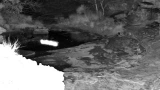 Still 1 from this detection