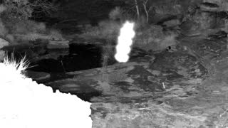 Still 2 from this detection