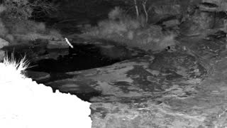 Still 3 from this detection
