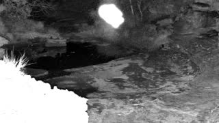 Still 1 from this detection
