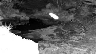 Still 1 from this detection