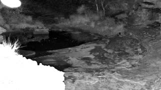 Still 1 from this detection
