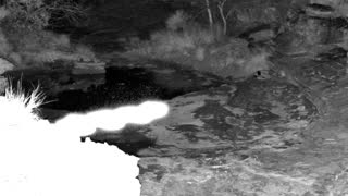 Still 1 from this detection