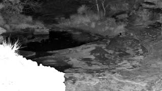 Still 3 from this detection