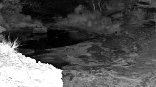Still 2 from this detection