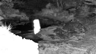 Still 1 from this detection