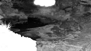 Still 1 from this detection