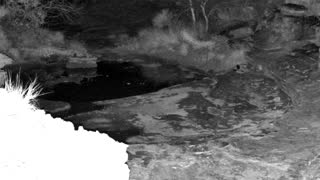 Still 2 from this detection