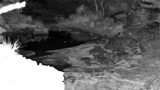 Still 2 from this detection