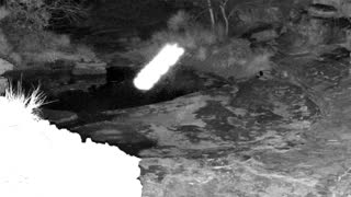 Still 2 from this detection