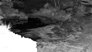 Still 3 from this detection