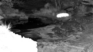Still 1 from this detection
