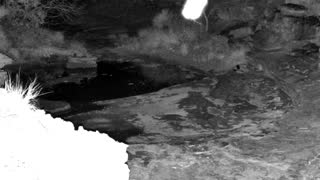 Still 2 from this detection