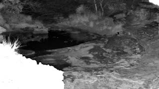 Still 3 from this detection