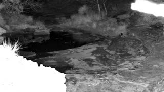 Still 1 from this detection