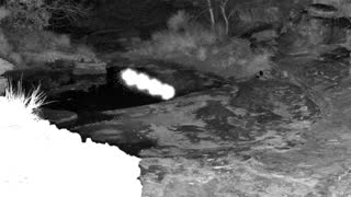 Still 1 from this detection