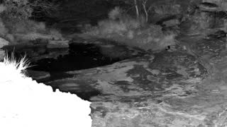 Still 1 from this detection