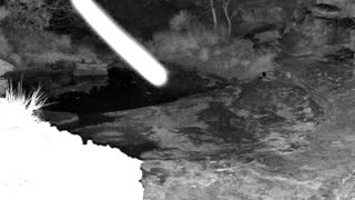 Still 2 from this detection