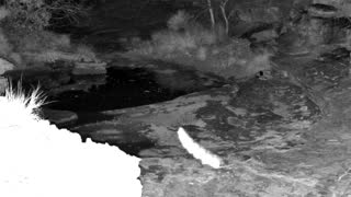 Still 1 from this detection