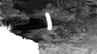 Still 1 from this detection