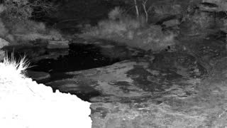 Still 2 from this detection