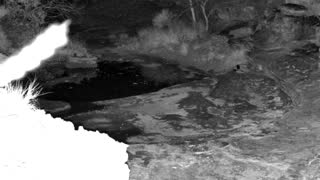 Still 2 from this detection