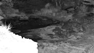Still 2 from this detection