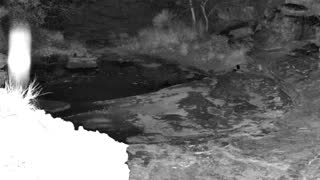 Still 1 from this detection