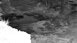 Still 1 from this detection