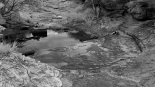 Still 1 from this detection