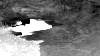 Still 2 from this detection