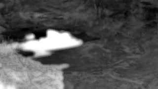 Still 3 from this detection
