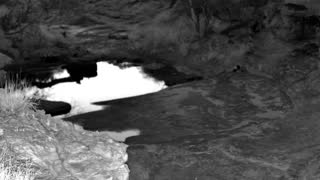 Still 2 from this detection