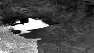 Still 3 from this detection