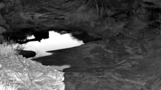 Still 3 from this detection