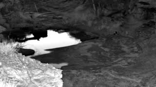 Still 1 from this detection