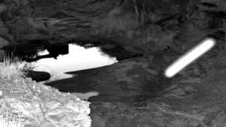 Still 2 from this detection