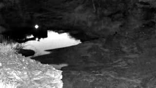 Still 1 from this detection