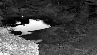Still 2 from this detection