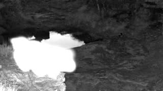 Still 1 from this detection