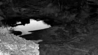 Still 2 from this detection