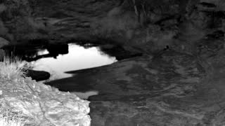 Still 3 from this detection