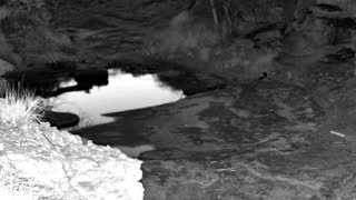 Still 1 from this detection