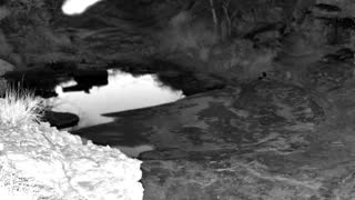 Still 1 from this detection