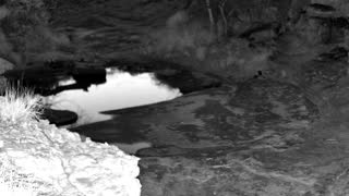 Still 3 from this detection